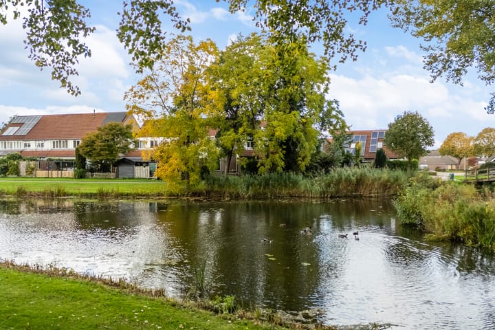 Roordaburg 34 main image