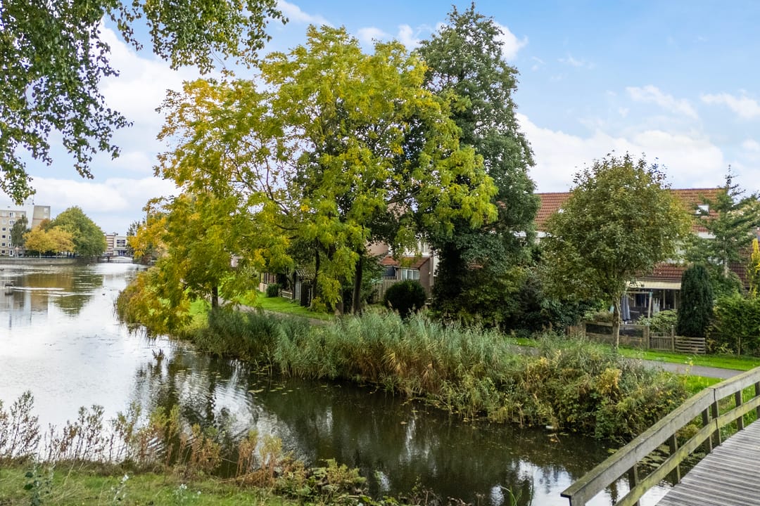 Foto 46 van Roordaburg 34