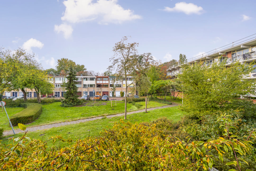 Photo 7 of Amerbos 243