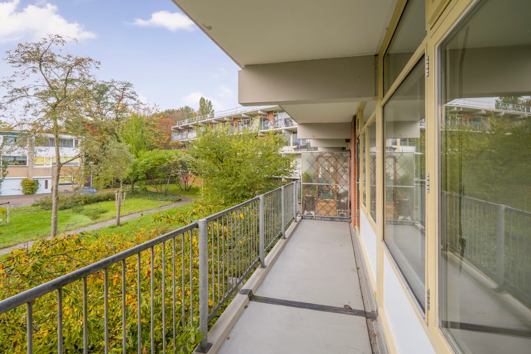 Photo 8 of Amerbos 243