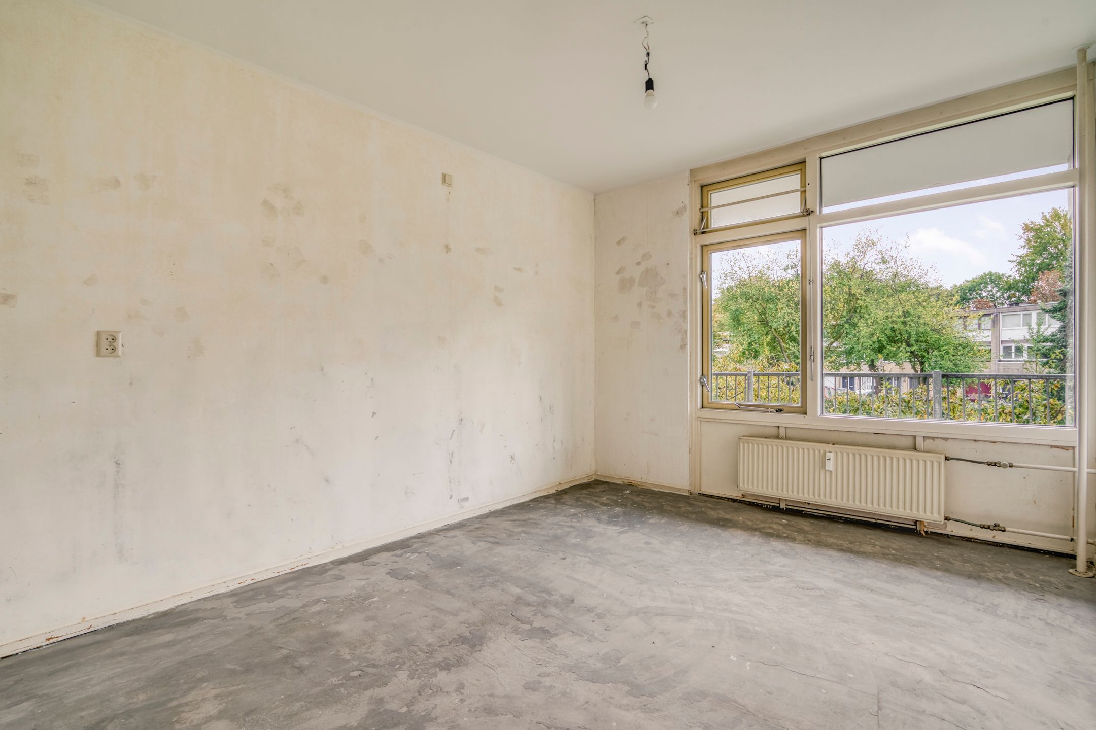 Photo 18 of Amerbos 243