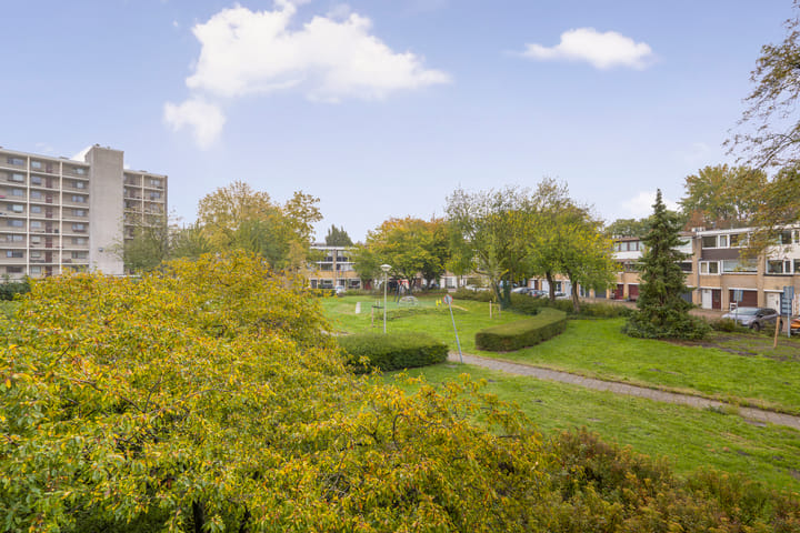 Foto 6 van Amerbos 243