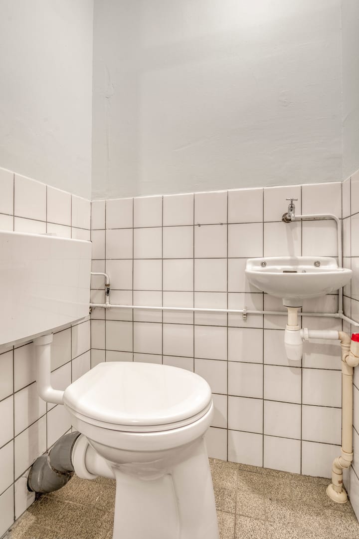 Foto 26 van Amerbos 243