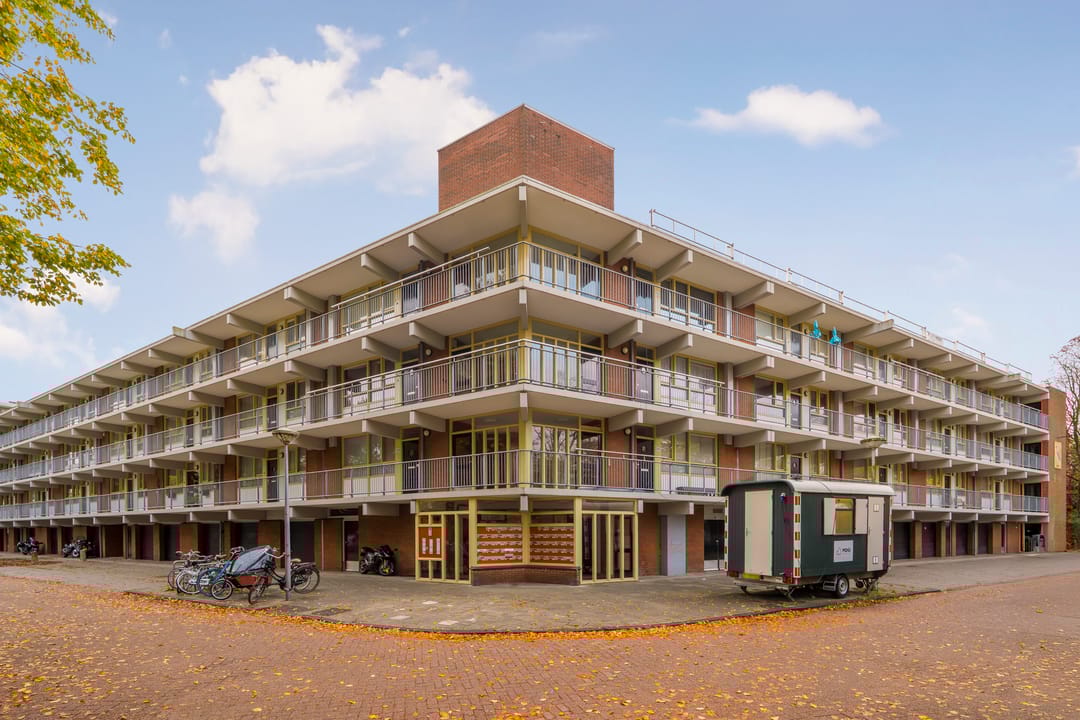 Photo 28 of Amerbos 243