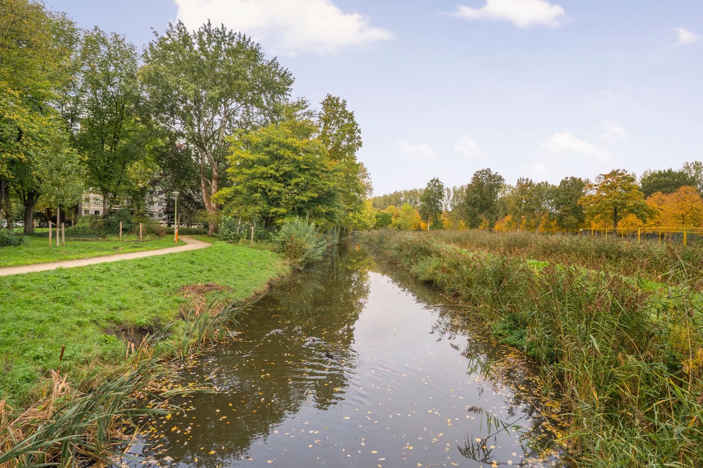 Photo 34 of Amerbos 243