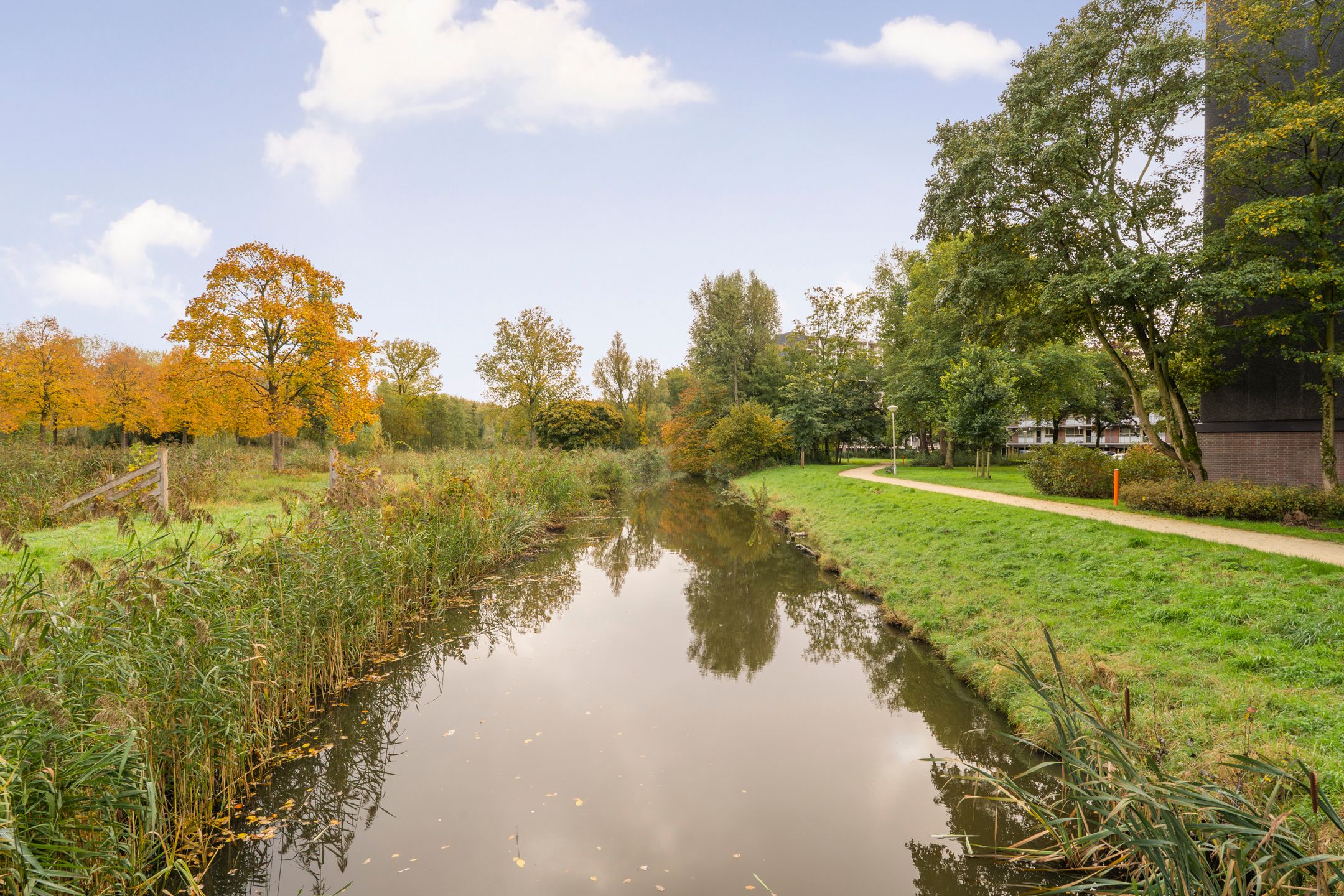 Photo 33 of Amerbos 243