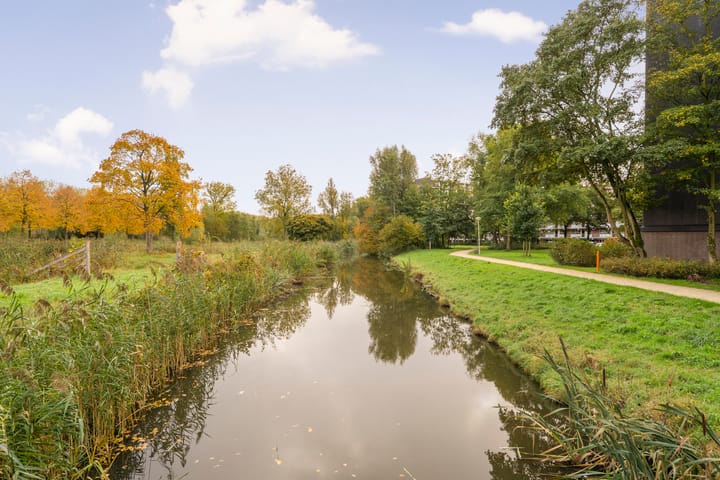 Foto 33 van Amerbos 243