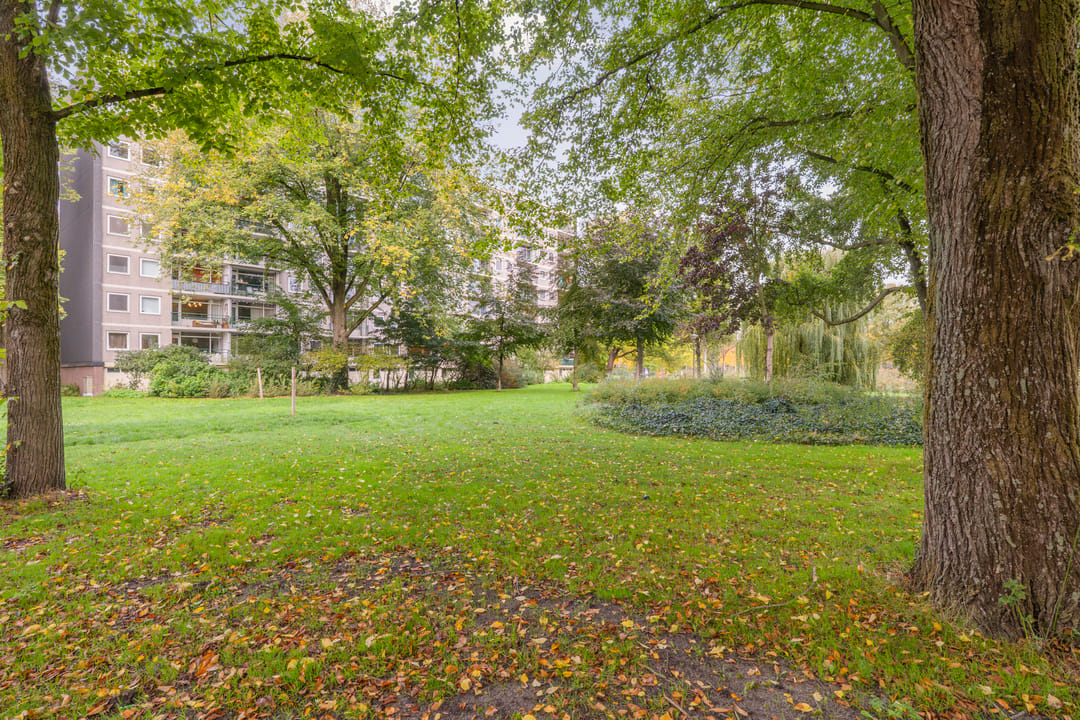 Photo 31 of Amerbos 243