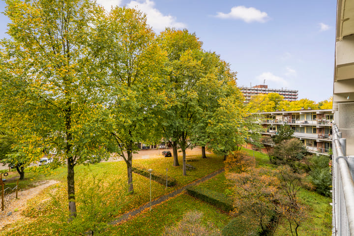 Foto 7 van Amerbos 469