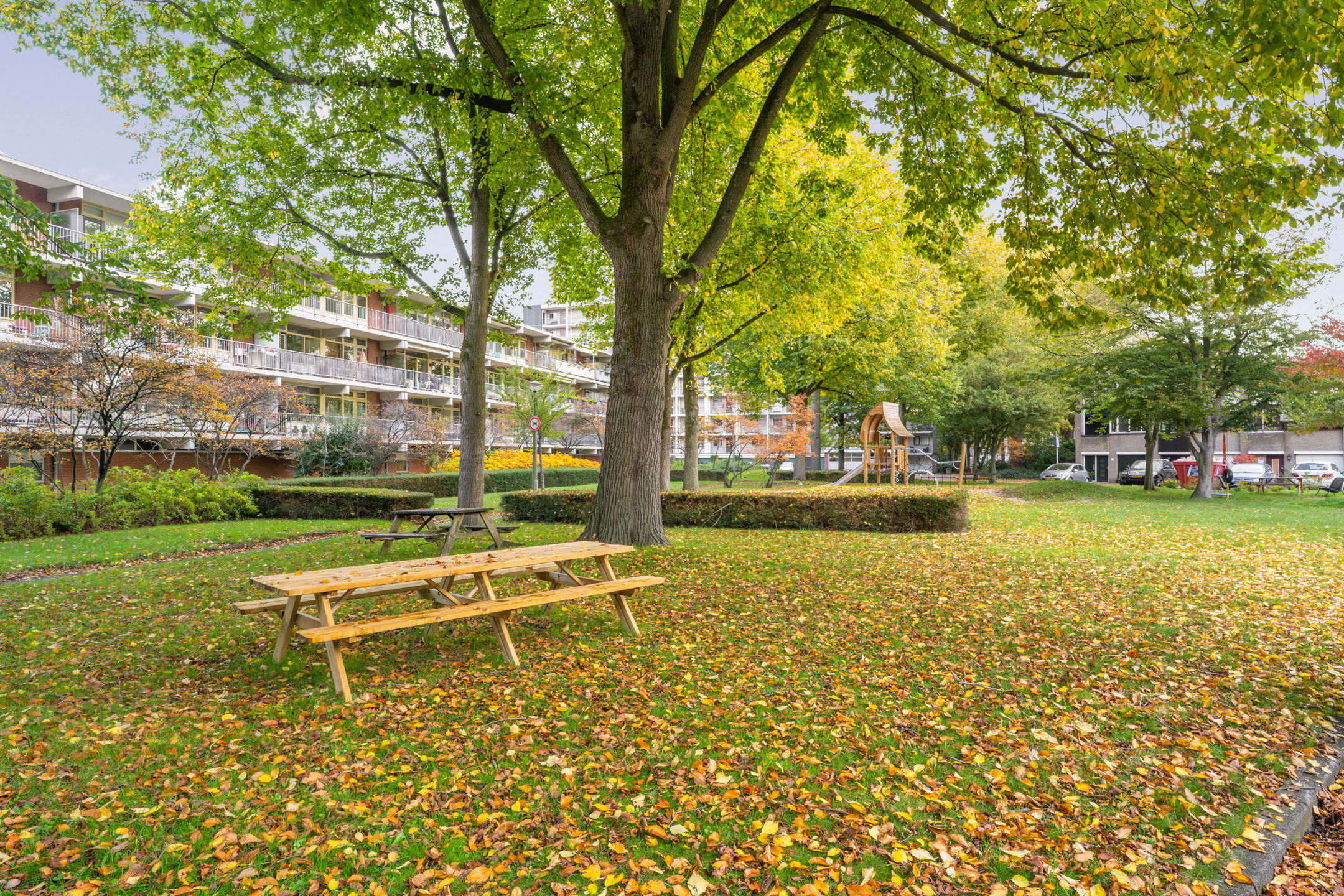 Foto 30 van Amerbos 469