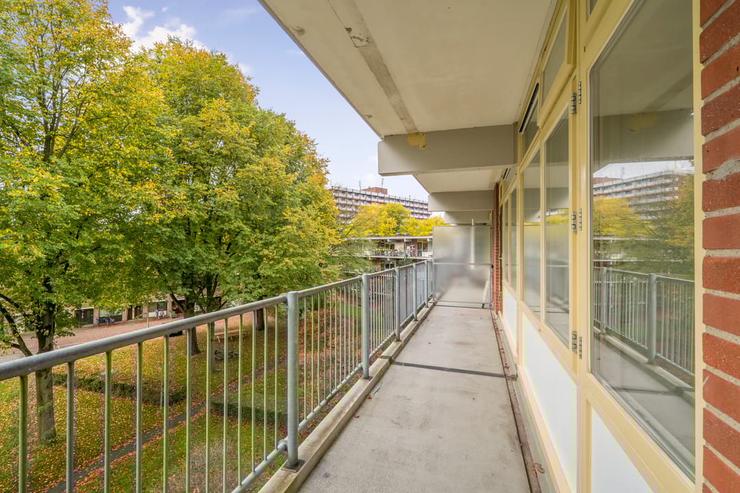 Foto 8 van Amerbos 469