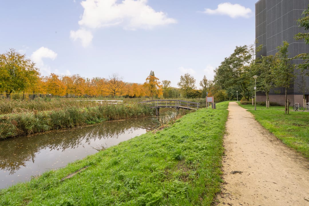 Foto 31 van Amerbos 469