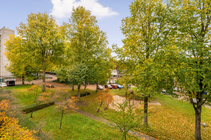 Foto 6 van Amerbos 469