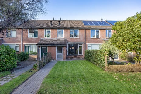 undefined main image