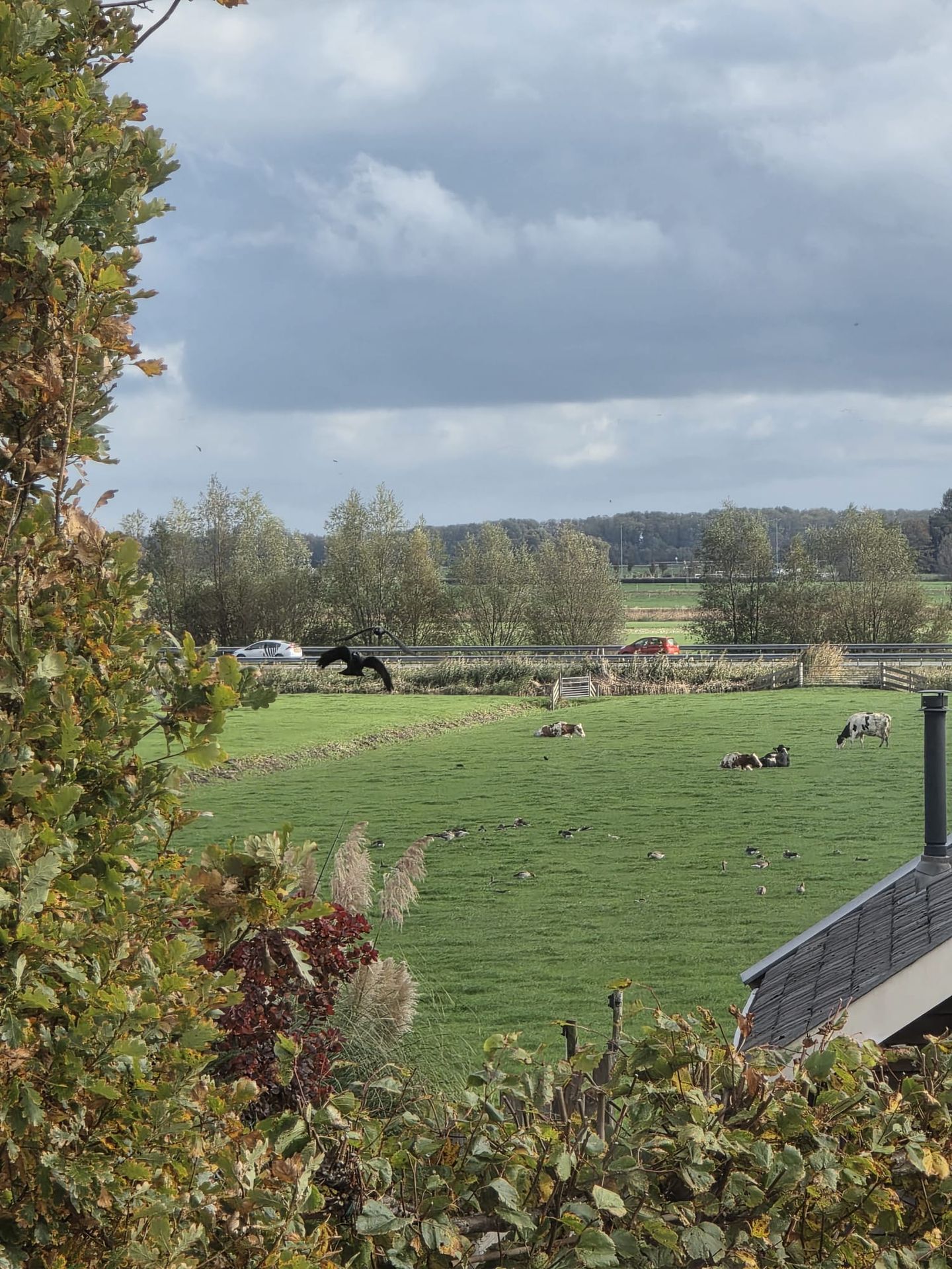 Foto 14 van Herenweg 163-A