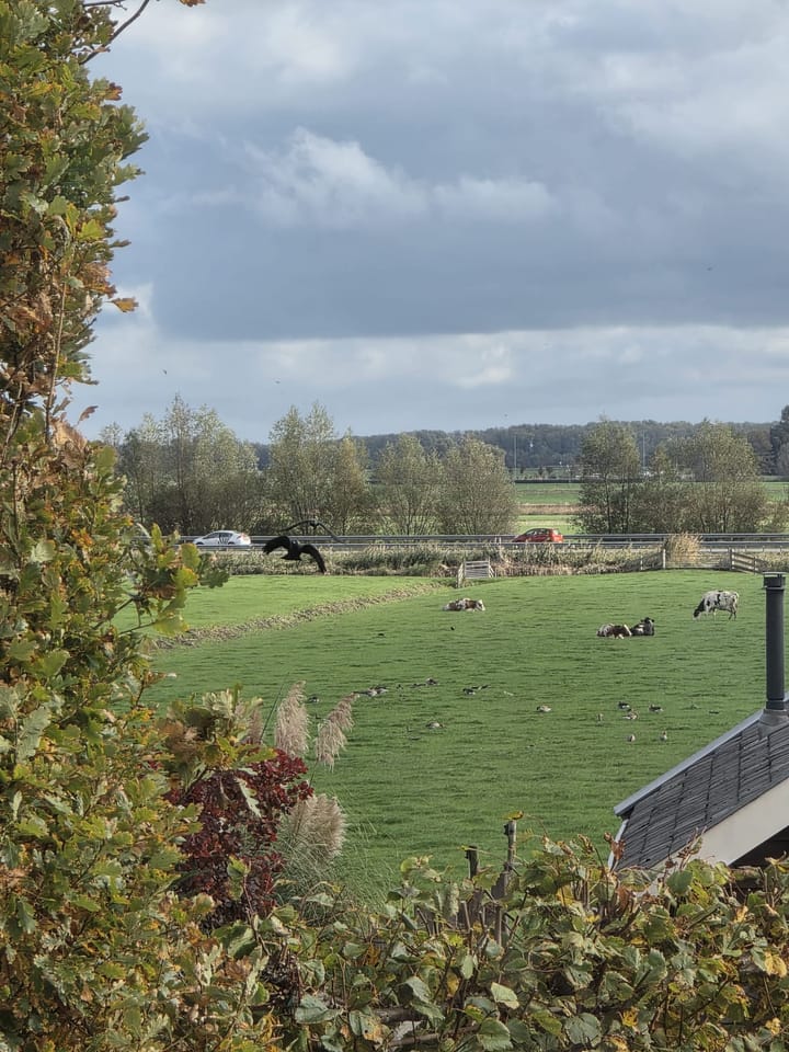 Foto 14 van Herenweg 163-A