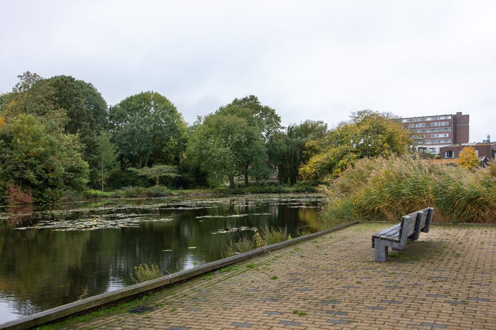 Foto 29 van Koekoekstraat 42