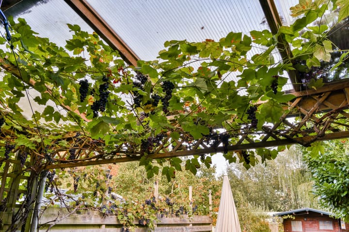 Photo 36 of Wethouder Venteweg 206