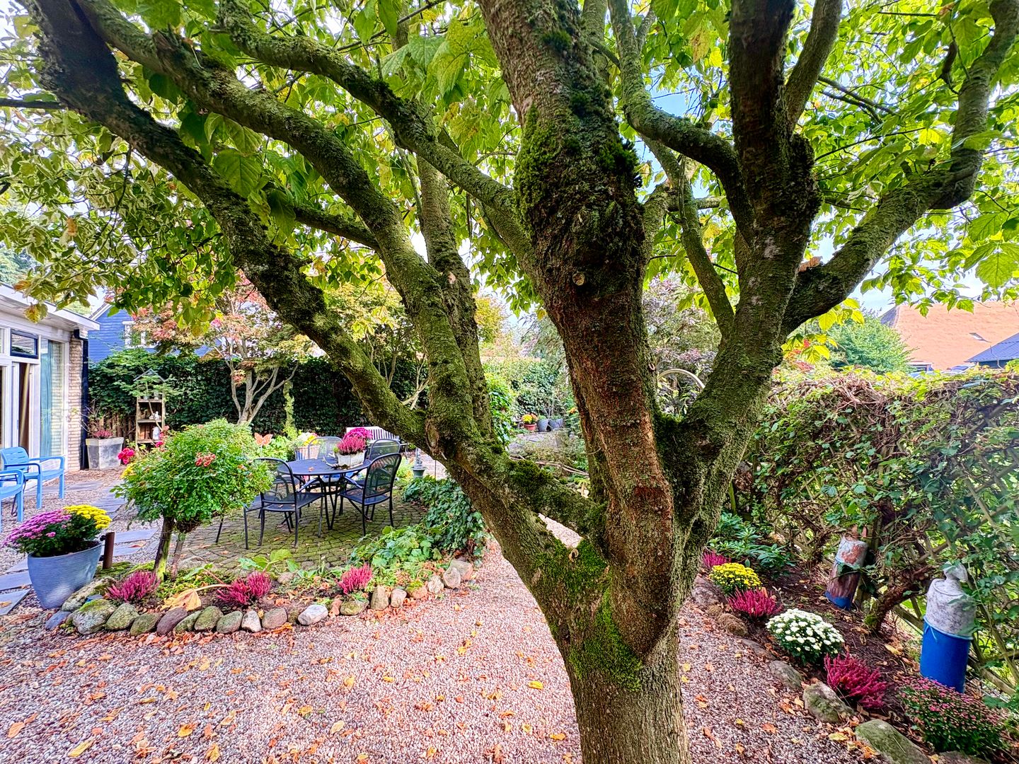 Photo 50 of Binnenveen 13