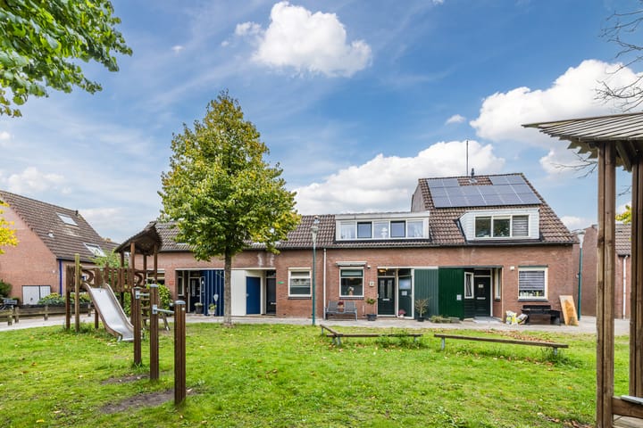 Foto 5 van Kamelenspoor 371