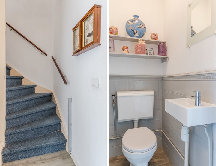 Foto 14 van Kamelenspoor 371