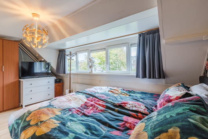 Foto 18 van Kamelenspoor 371