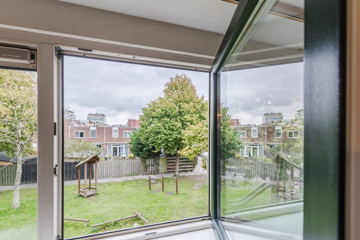 Foto 19 van Kamelenspoor 371