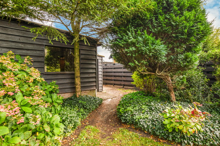 Photo 43 of Vijfhuizerdijk 206