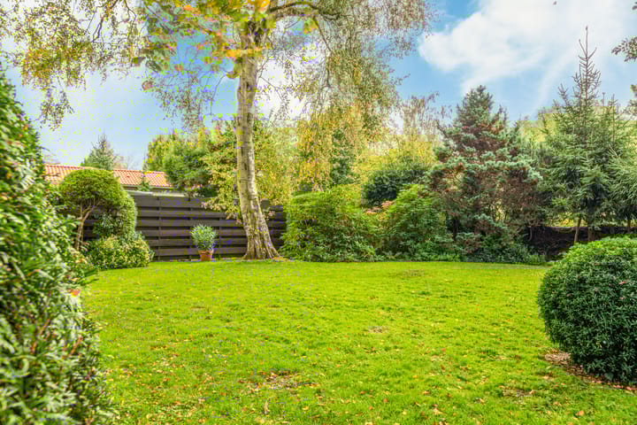 Photo 44 of Vijfhuizerdijk 206