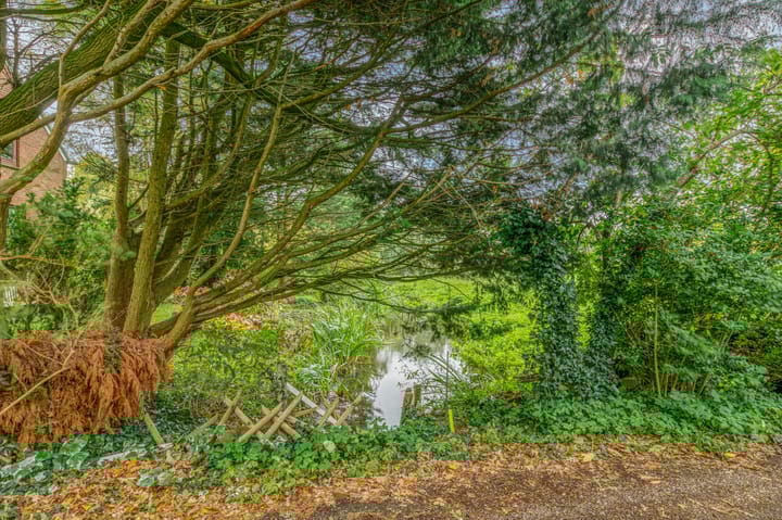 Photo 47 of Vijfhuizerdijk 206