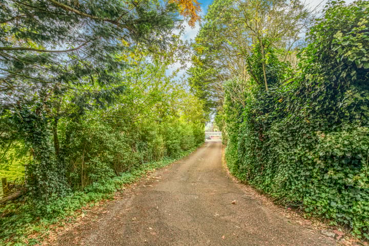 Photo 48 of Vijfhuizerdijk 206