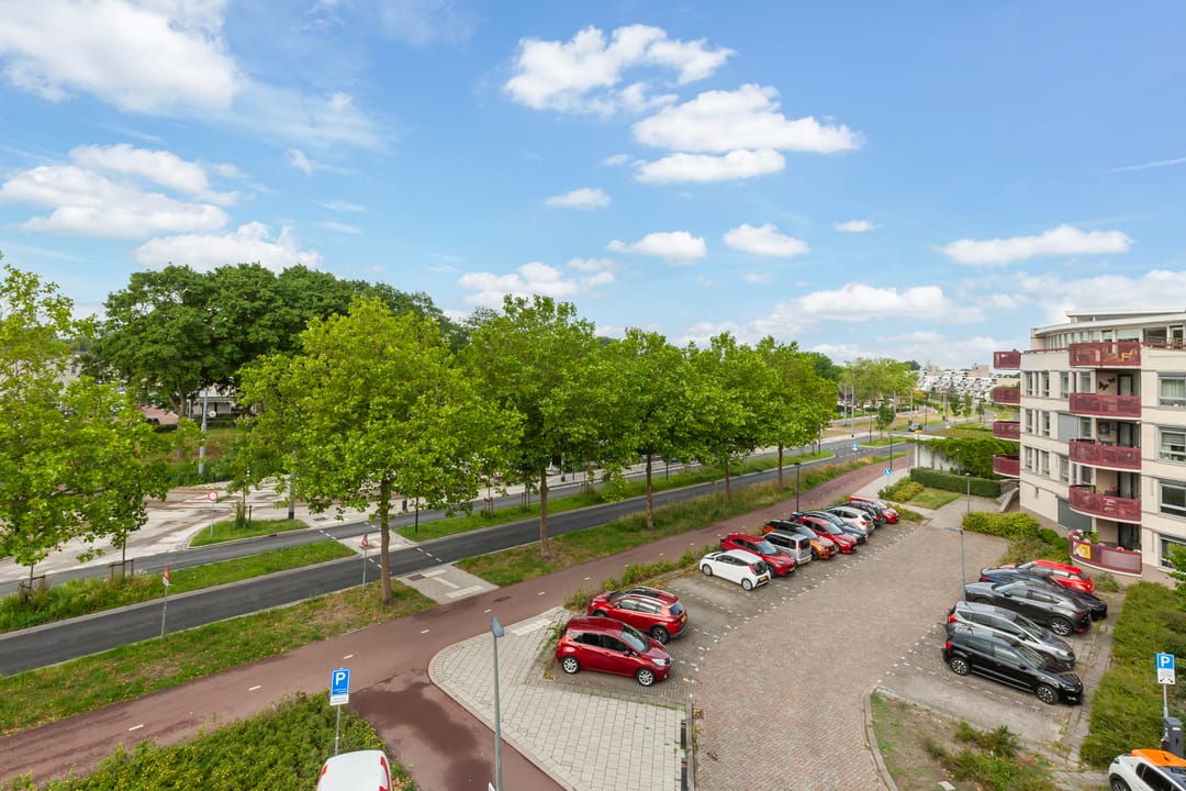 Foto 38 van Kamilleveld 29