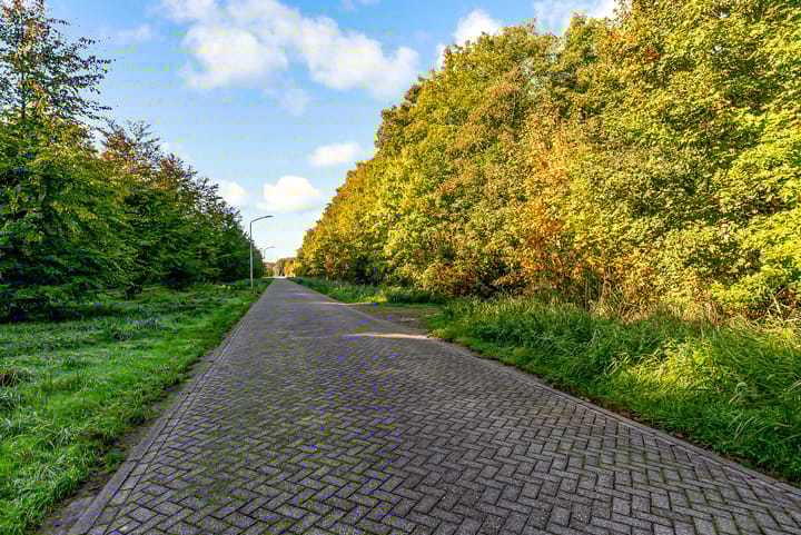 Foto 49 van Dinsdagstraat 8