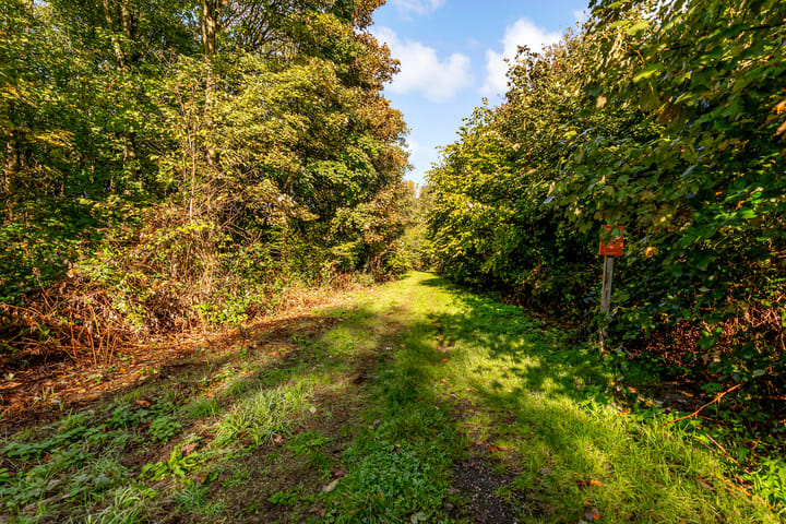 Foto 50 van Dinsdagstraat 8