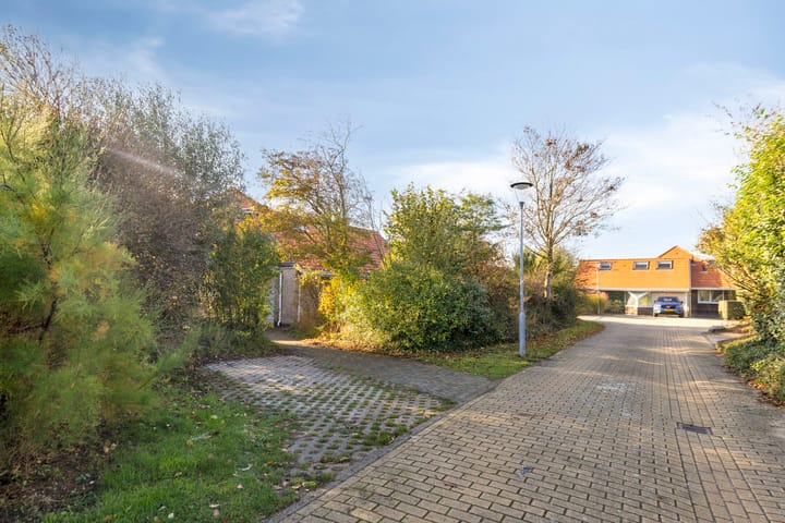 Foto 4 van Sneeuwgors 7