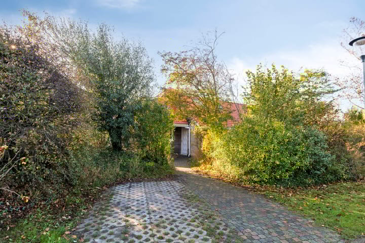 Foto 5 van Sneeuwgors 7