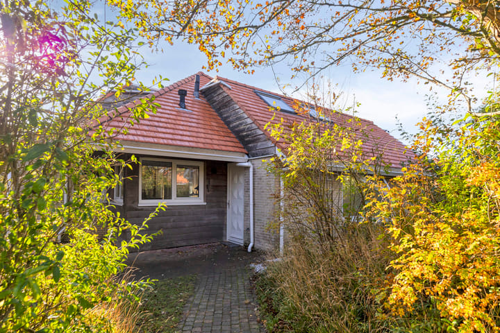 Foto 6 van Sneeuwgors 7