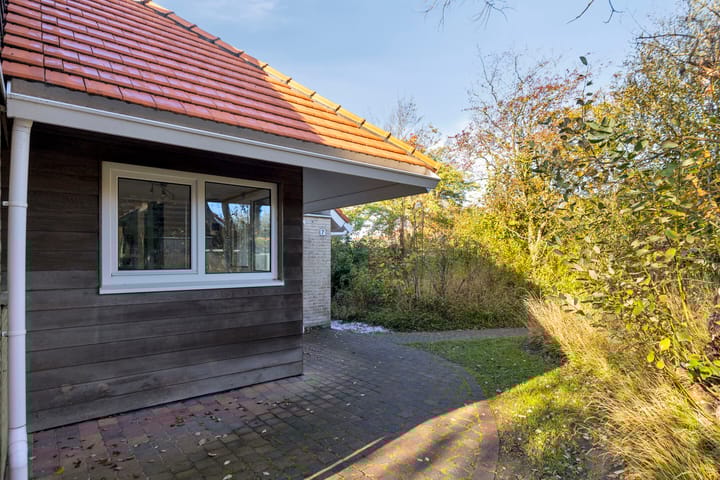 Foto 8 van Sneeuwgors 7