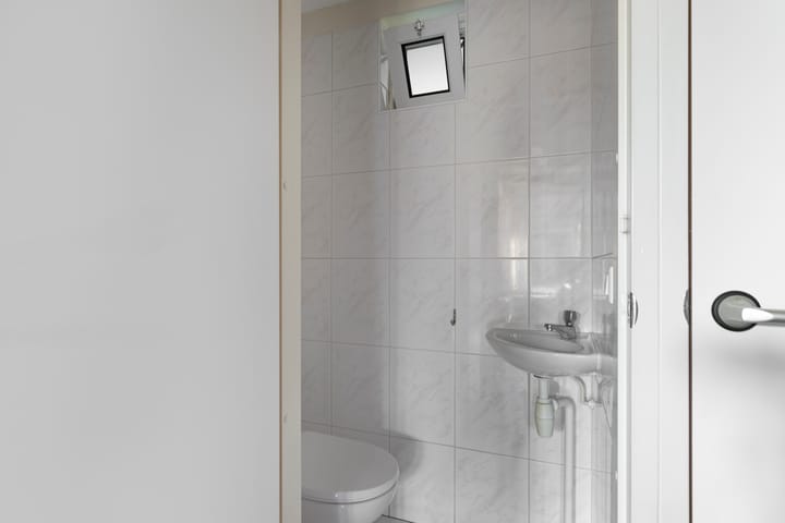 Foto 12 van Sneeuwgors 7