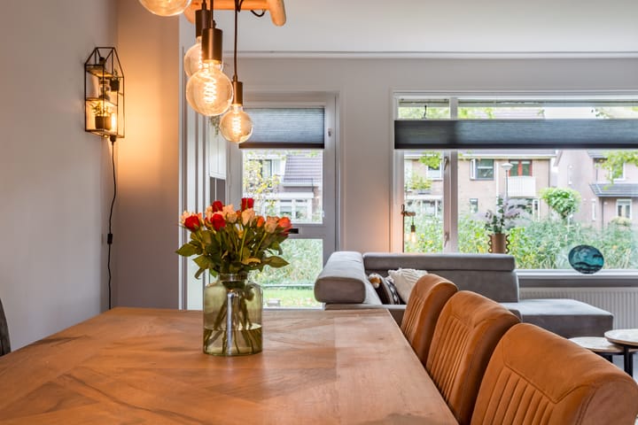 Foto 8 van Zwaluw 34