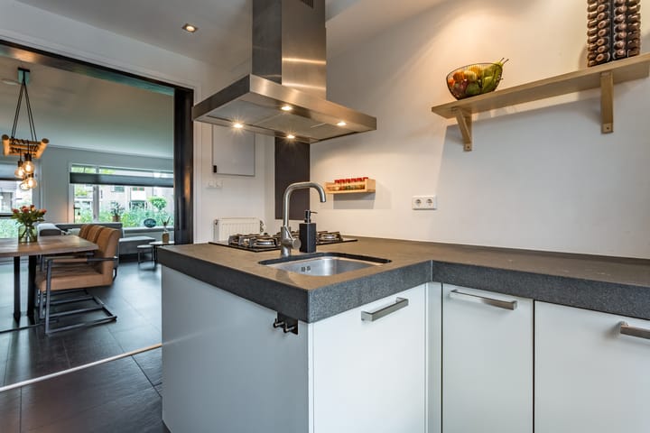 Foto 10 van Zwaluw 34