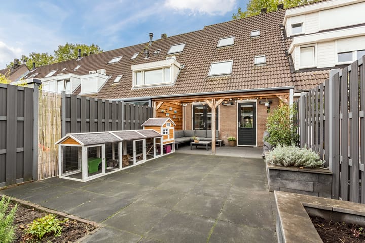 Foto 39 van Zwaluw 34