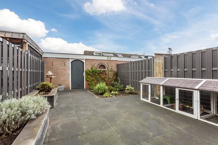 Foto 43 van Zwaluw 34