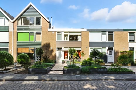 undefined main image