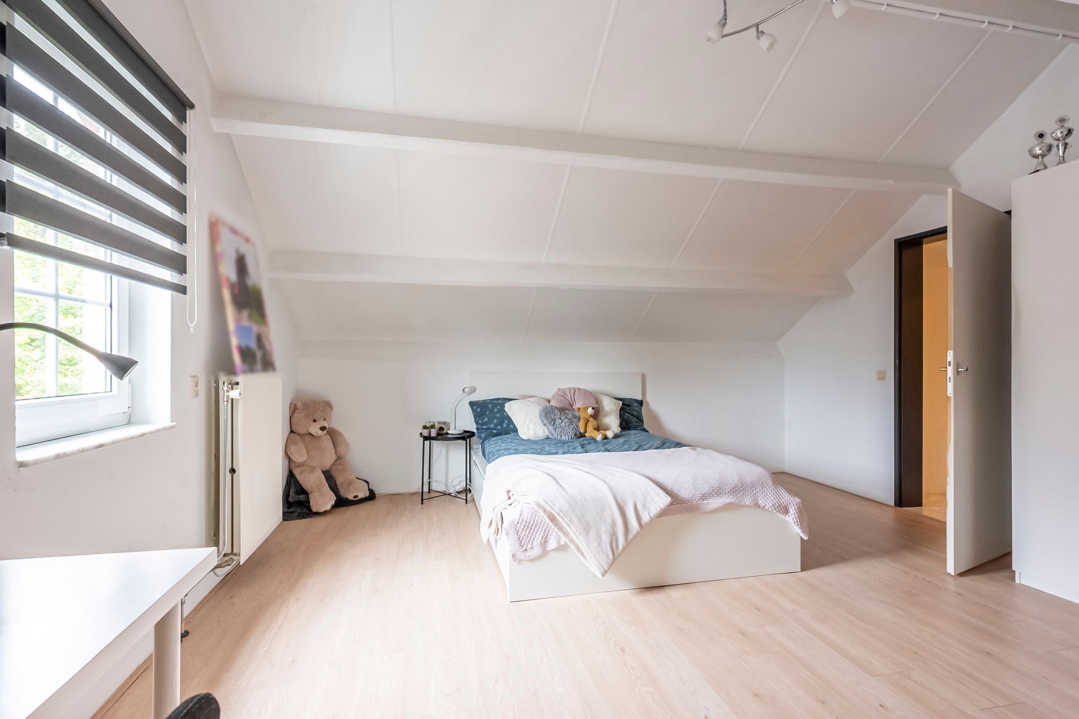 Foto 18 van Dokter Limpensstraat 48