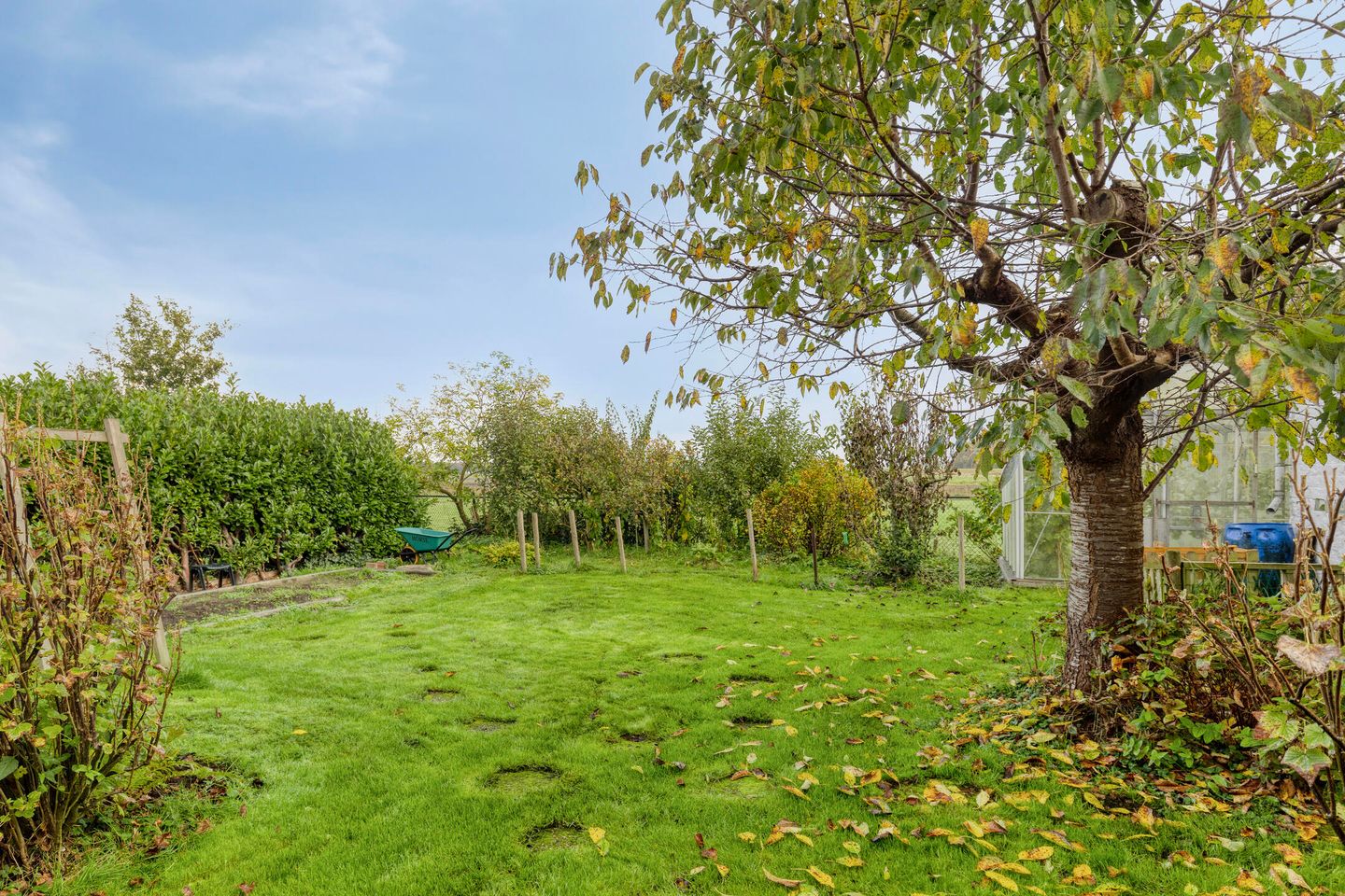 Photo 35 of Schultestraat 24