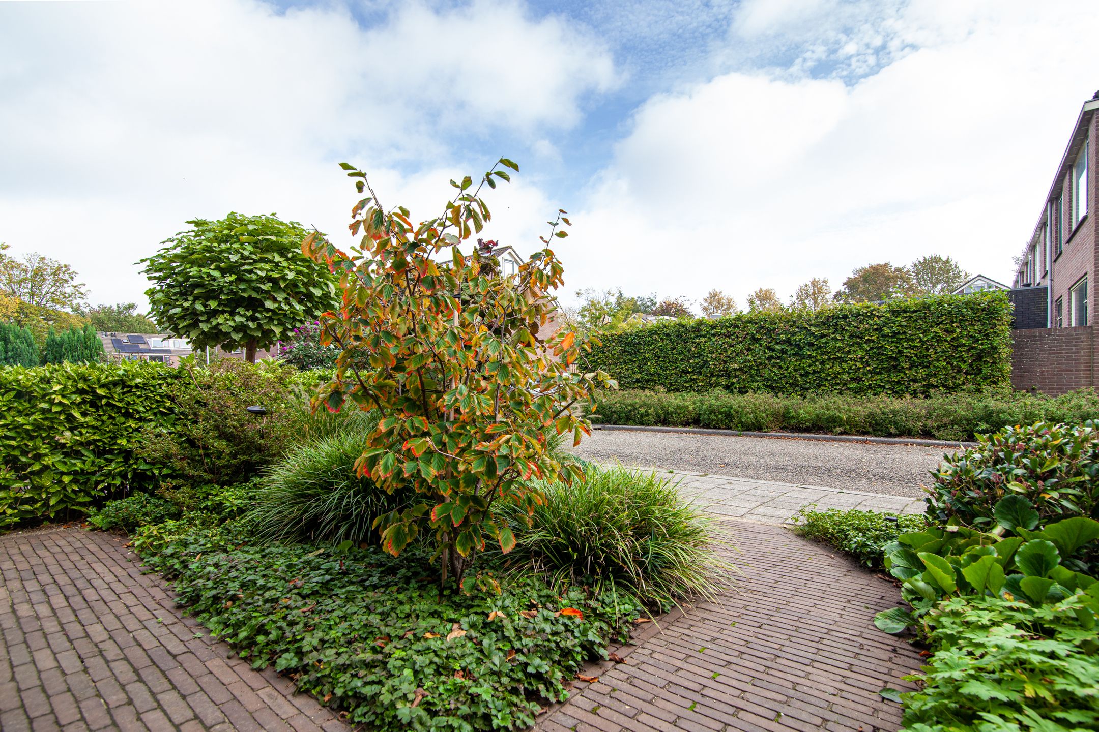 Foto 6 van Weerestein 3