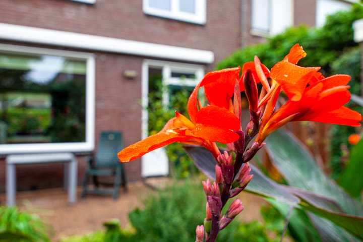 Foto 25 van Weerestein 3