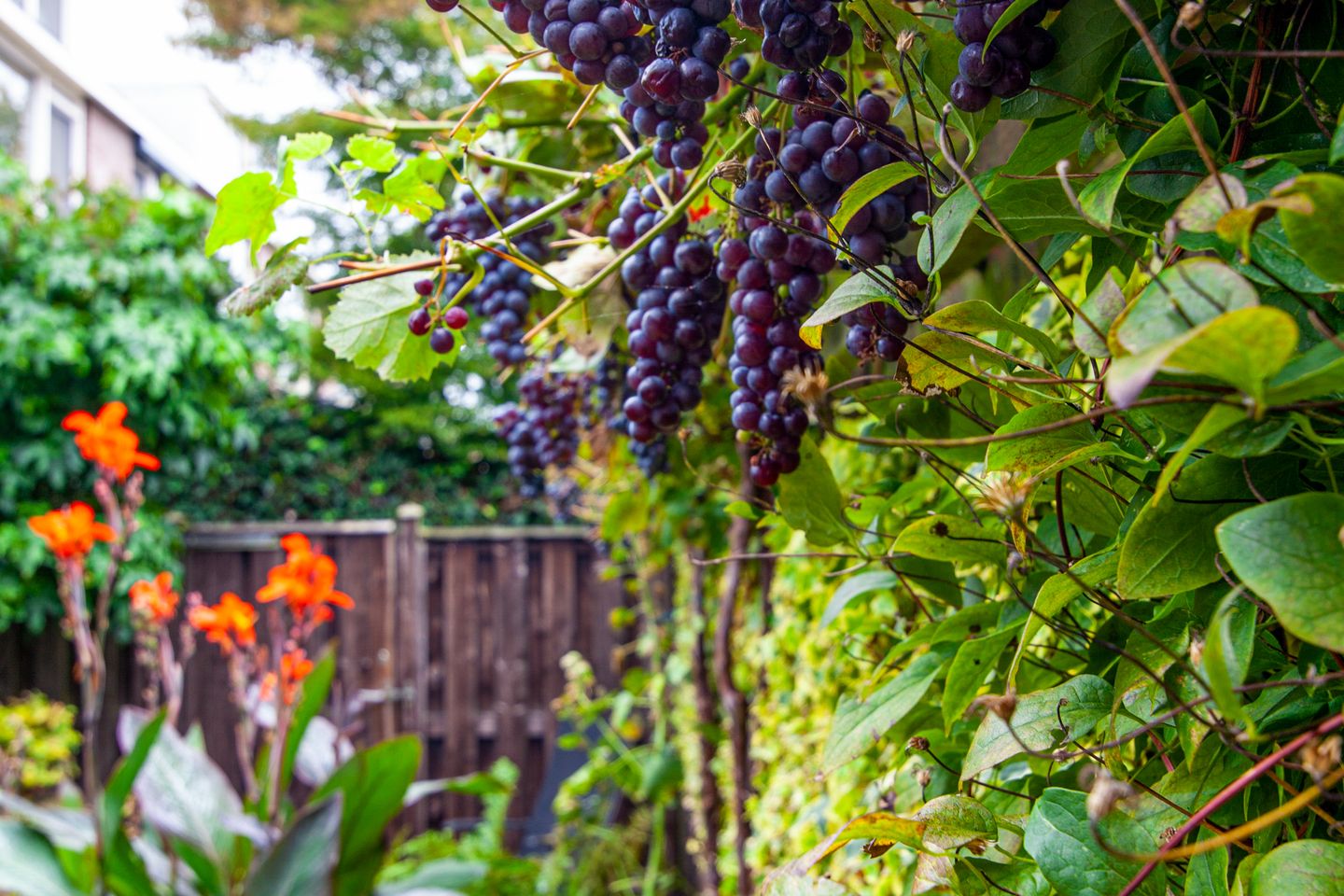 Foto 29 van Weerestein 3