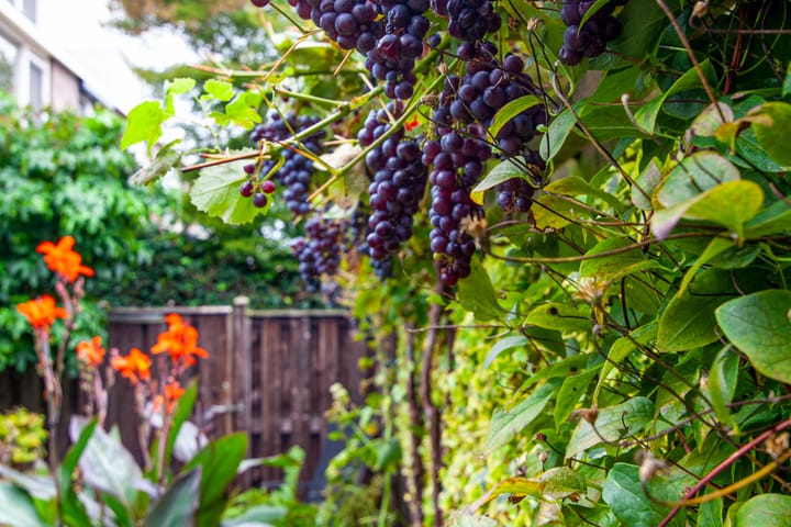 Foto 29 van Weerestein 3